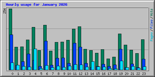 Hourly usage for January 2026